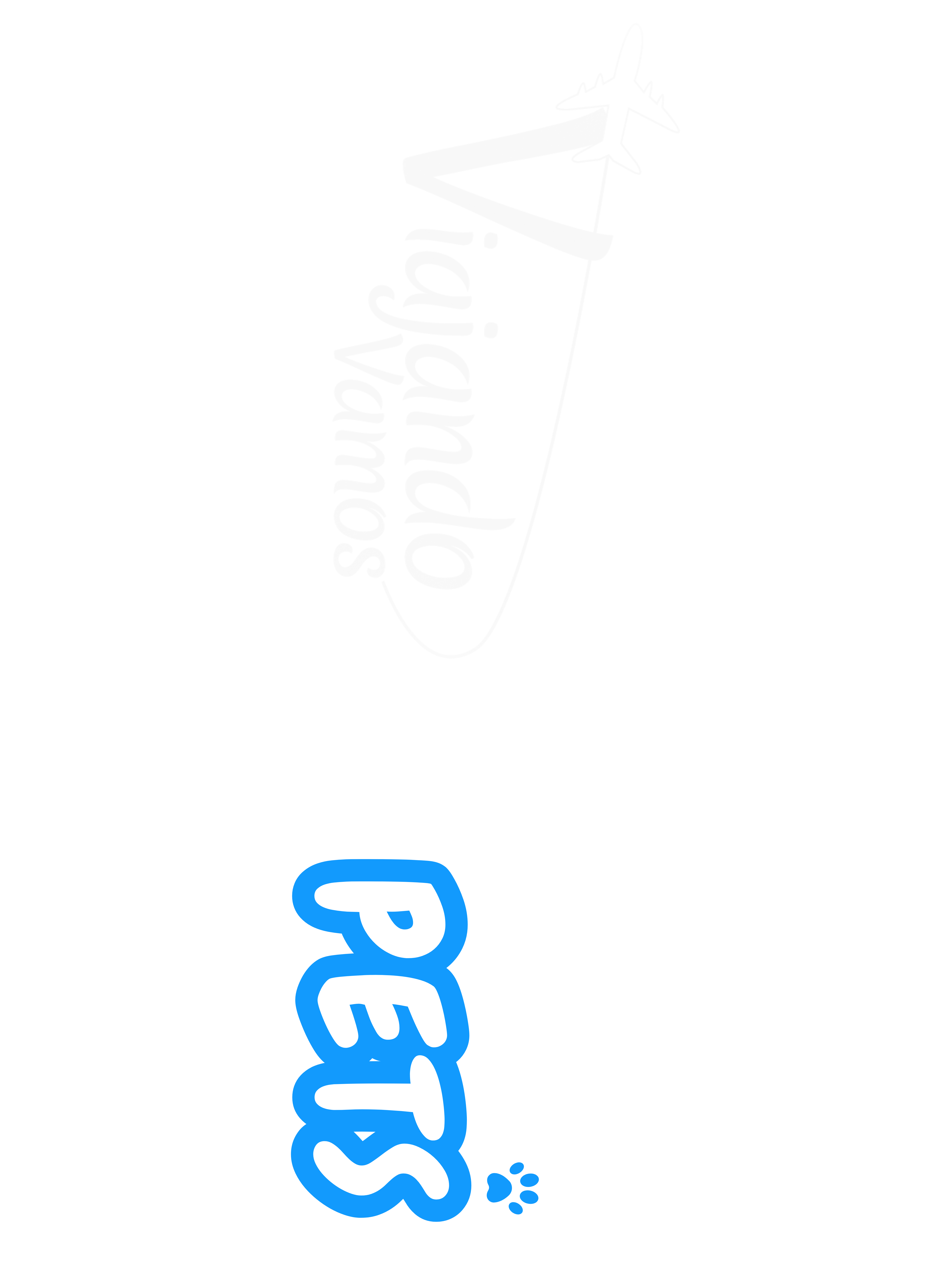 VivaPet